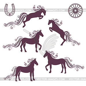 Collection of vector illustrations of horses - vector image