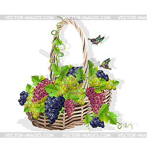 Wicker basket with grapes  - vector image