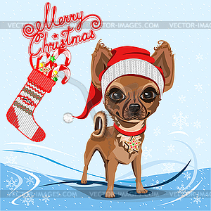 Doggy in hat  - vector clip art