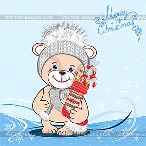 Teddy bear in hat - vector image