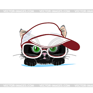 Кошка в кепке и очках - изображение векторного клипарта