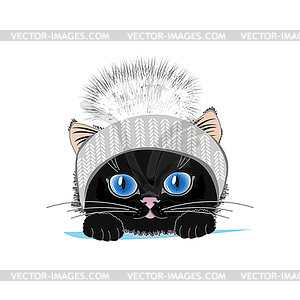 Cat in hat - vector image