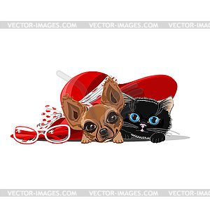 Cat and dog in hat - vector clip art