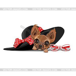 Doggie in summer hat - vector clipart