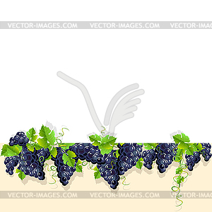 Кадр с черным виноградом - векторный графический клипарт