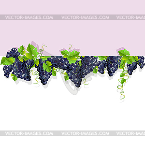 Frame with black grapes - vector clip art