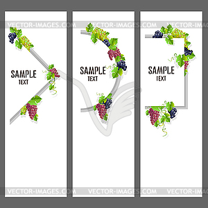 Set of banners with bunches of grapes - vector clipart