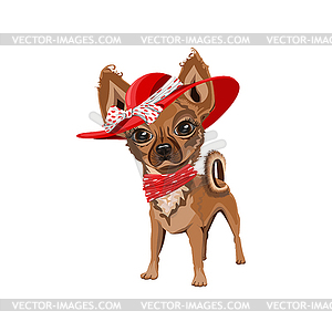 Little dog in a hat - vector clip art