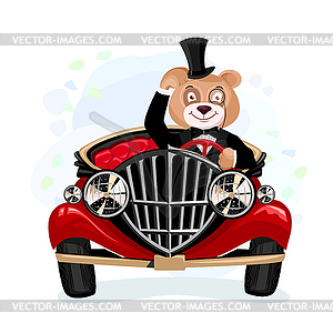 Bear gentleman  - royalty-free vector image