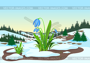 Spring forest  - vector image