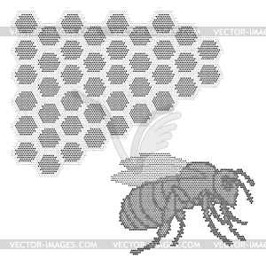 Bee and honeycomb - vector image