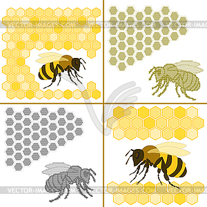 Bee and honeycomb - vector image