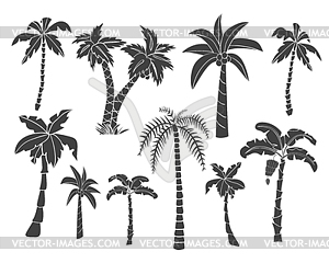 Silhouettes of palms trees - vector clipart