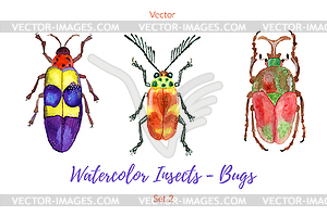 Set of hand painted watercolorbugs, - vector image