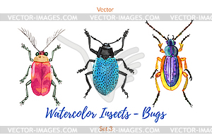 Set of hand painted watercolorbugs, - vector clip art
