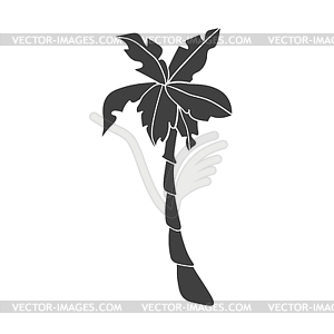 Silhouettes of palms trees - vector clipart