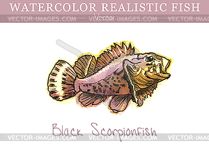 Hand painted watercolor edible fish. design - vector image