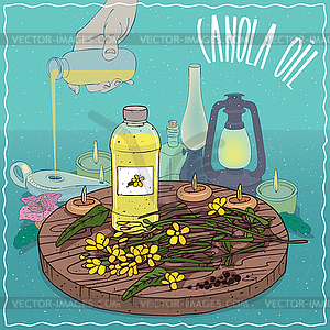 Canola oil used as fuel for oil lamp - vector image