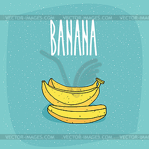 Ripe and whole bananas fruits - vector clipart
