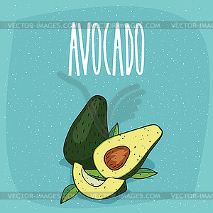 Ripe avocado fruits whole and cut - vector image