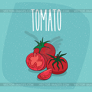 Спелый фруктовый томатный растительный цех и вырезать - изображение в векторе
