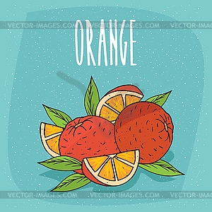 Ripe oranges fruits whole and cut - vector EPS clipart