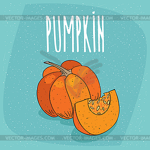 Ripe squash fruit or pumpkin - royalty-free vector image