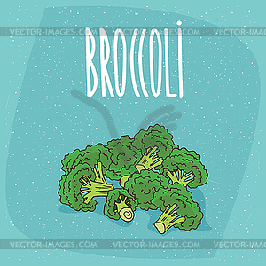 Ripe vegetables broccoli stalks - vector image