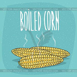 Whole boiled corn ears with hot steam - vector clip art