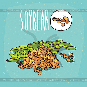 Набор растительных растений соевых бобов - изображение в векторе / векторный клипарт