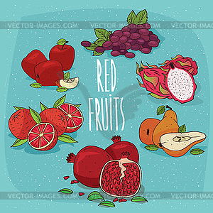 Set of food products red fruits - vector clipart