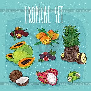 Set of organic tropical fruit cliparts - vector EPS clipart