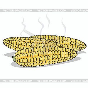 Isolate boiled corn ears with steam - vector image