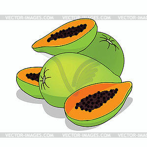 Isolate papaya fruit - vector clip art