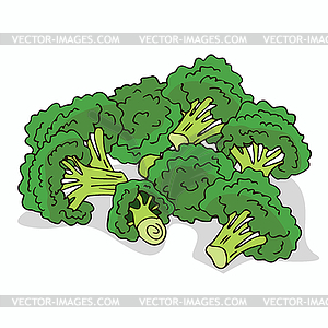 Isolate ripe broccoli stalks - vector clipart