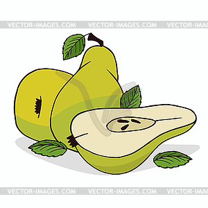 Isolate ripe pear fruit - vector image