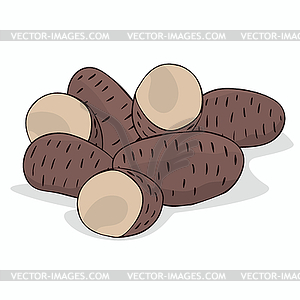 Isolate ripe russet potato tubers - vector image