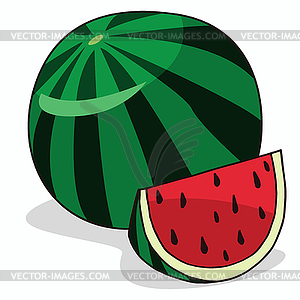 Isolate ripe watermelon fruit - vector image