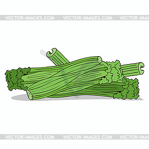 Isolate spices celery stalks - vector image