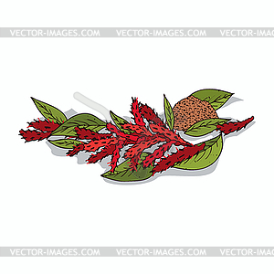 Clipart Amaranth - vector image