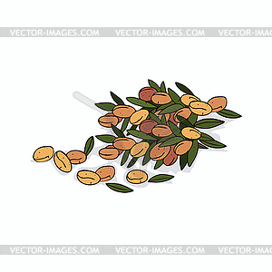 Clipart Argan - stock vector clipart