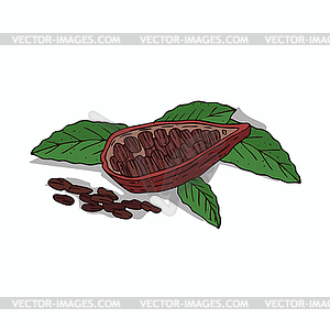 Clipart Cocoa - royalty-free vector image