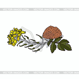 Clipart Mustard - vector clipart