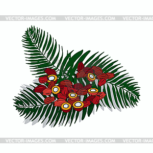 Clipart Palm - vector clipart