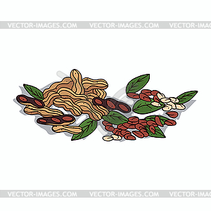 Clipart Peanut - vector clipart