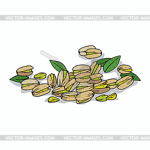 Clipart Pistachio - vector clipart