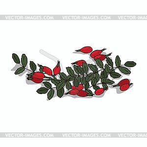 Clipart Rose hips - vector clipart