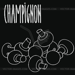 Chalkboard mushrooms champignon - vector clip art