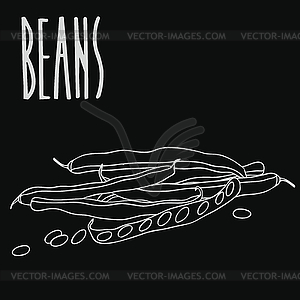 Chalkboard pod of pea or beans - vector image