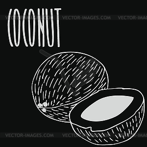 Chalkboard ripe coconut fruit - vector clipart